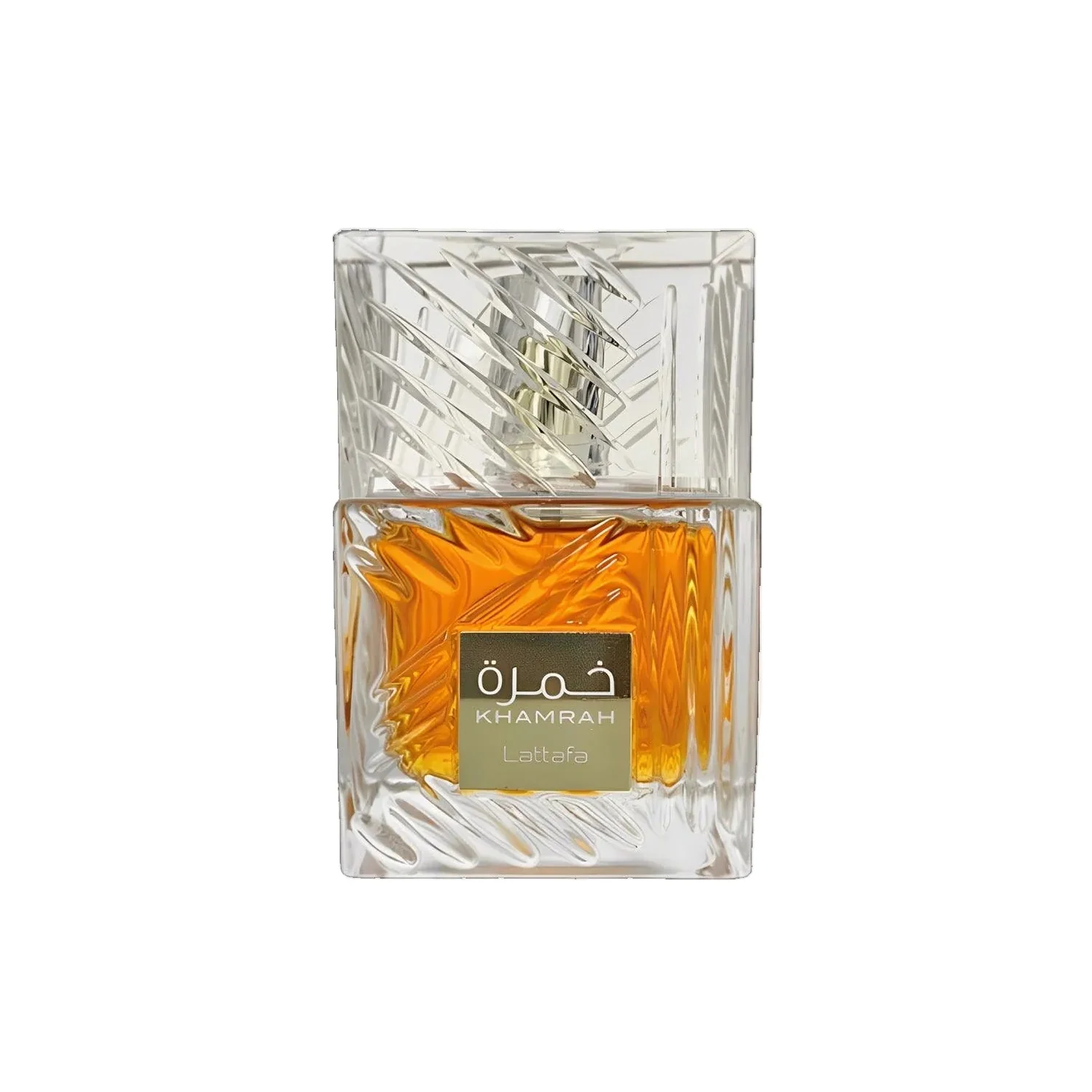 11.11 Sale - Chose You Chose TheSkinFit